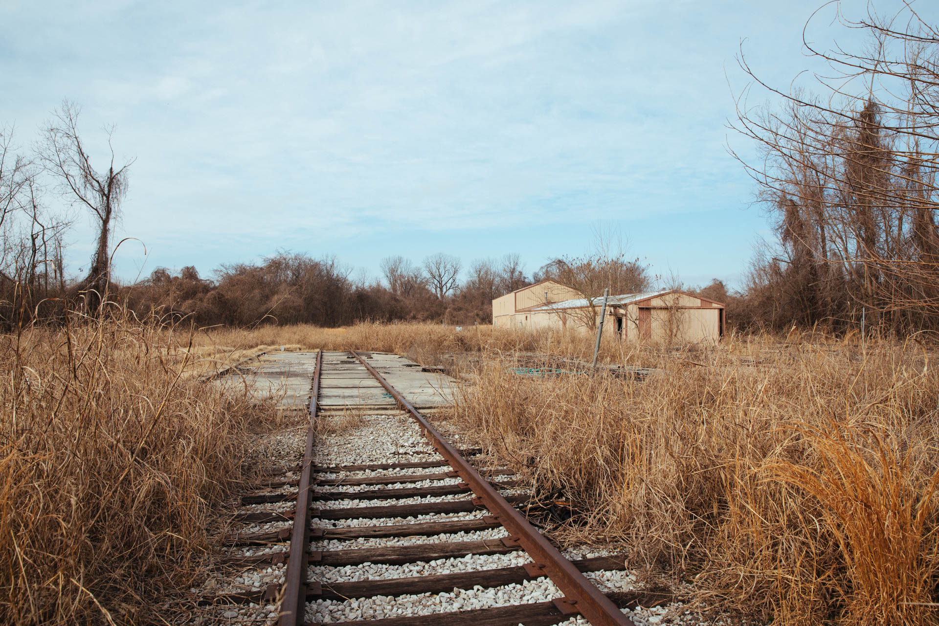 abandoned-railroad-tracks-cairo-illinois-travis-dewitz-1391.JPG