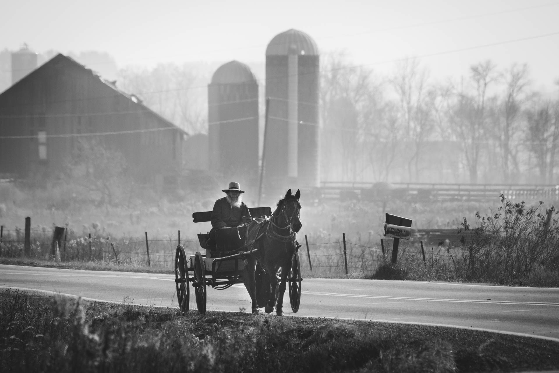 amish-man-grey-beard-horse-and-wagon-down-country-road-barn-6945