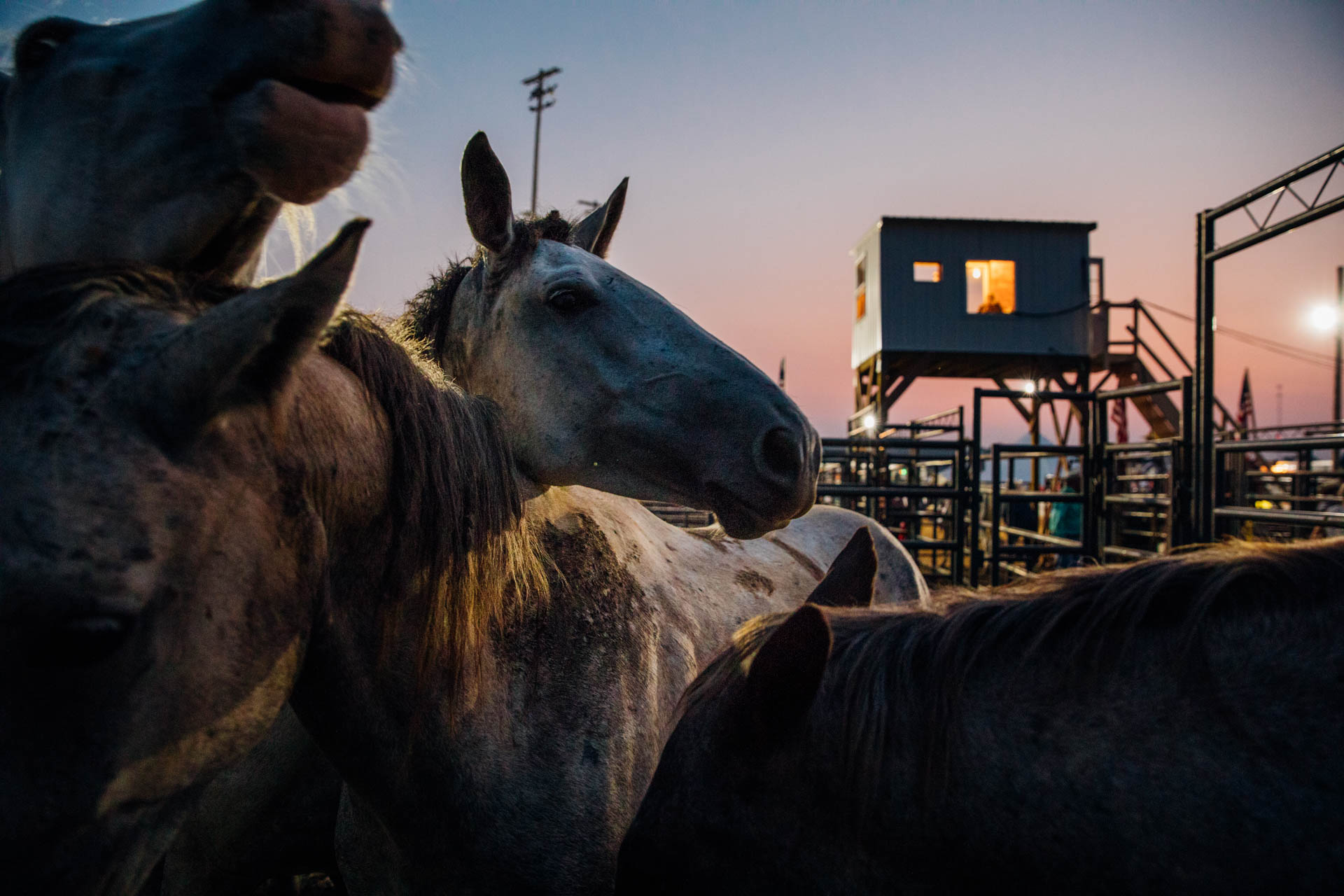 barnes-prca-rodeo-4938