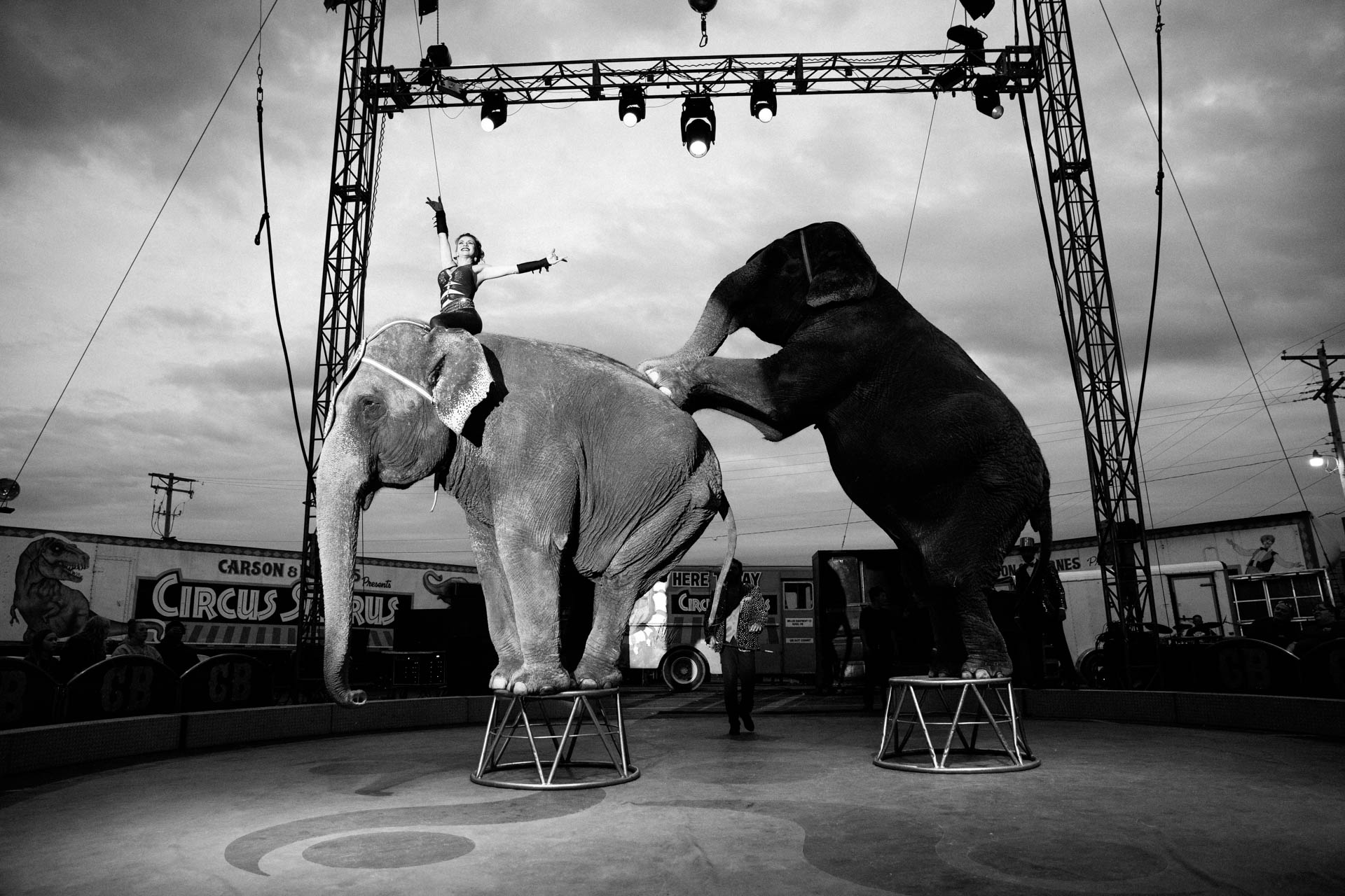 carson-and-barnes-circus-elephants-dramatic-showgirl-ring-4731.JPG