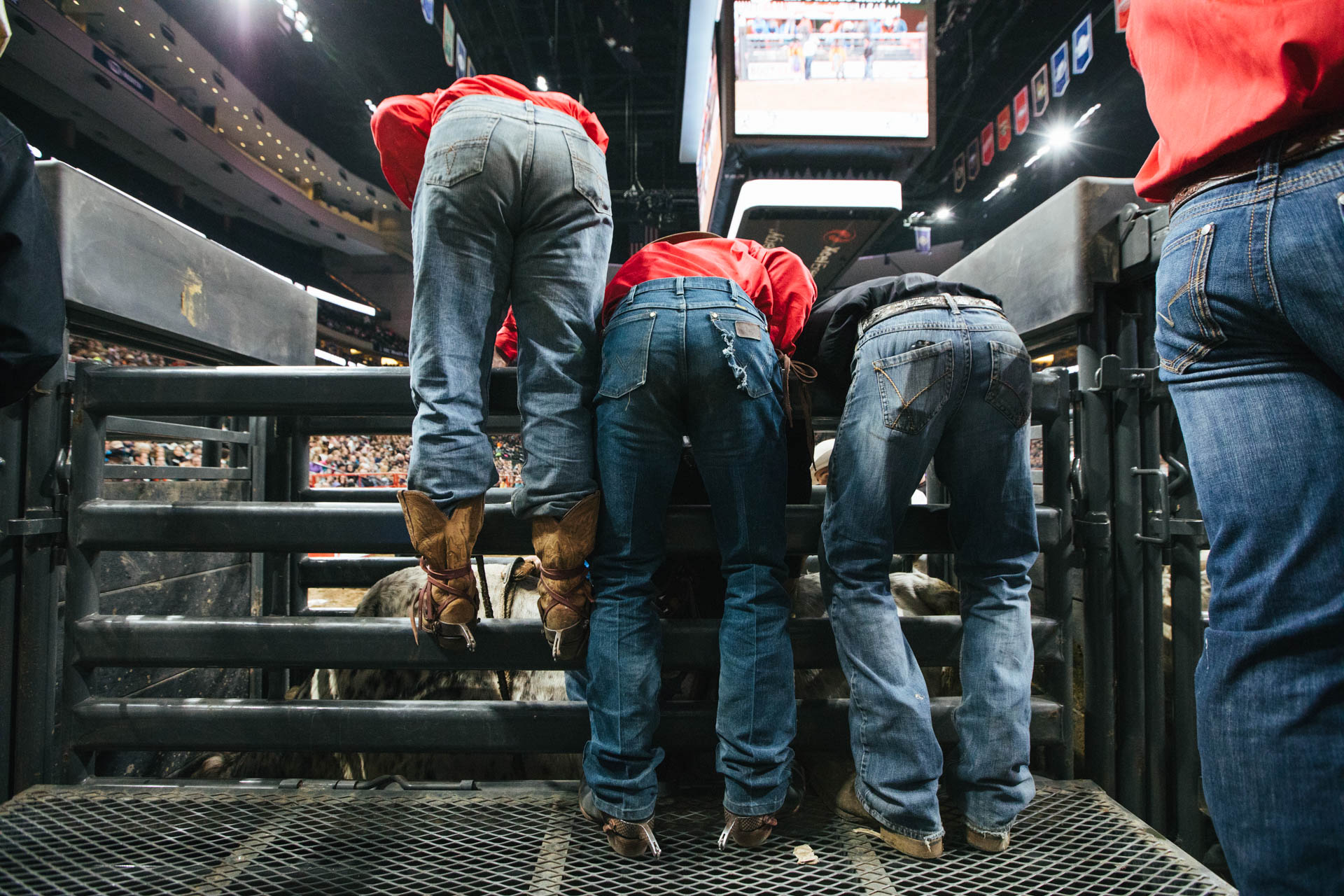 clinch-worlds-toughest-rodeo-2732