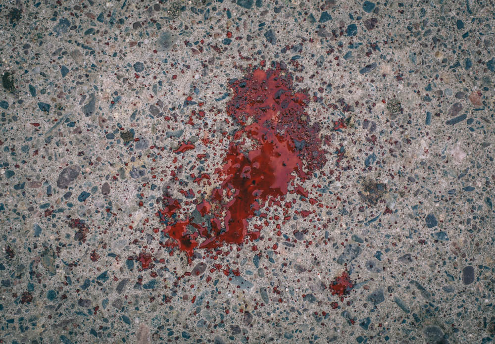 deer-blood-on-the-ground-3256