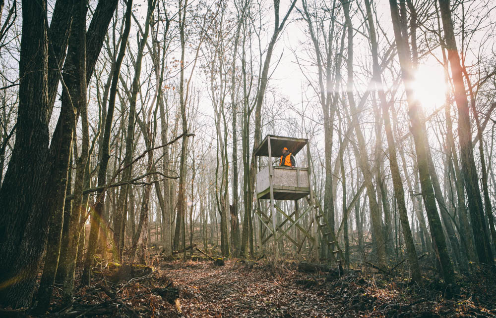 deer-hunter-in-tree-stand-in-woods-at-sunset-1227