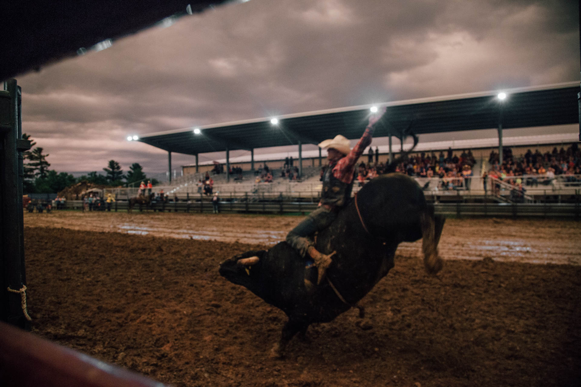 eight-second-bull-ride-arm-up-muddy-arena-a5086