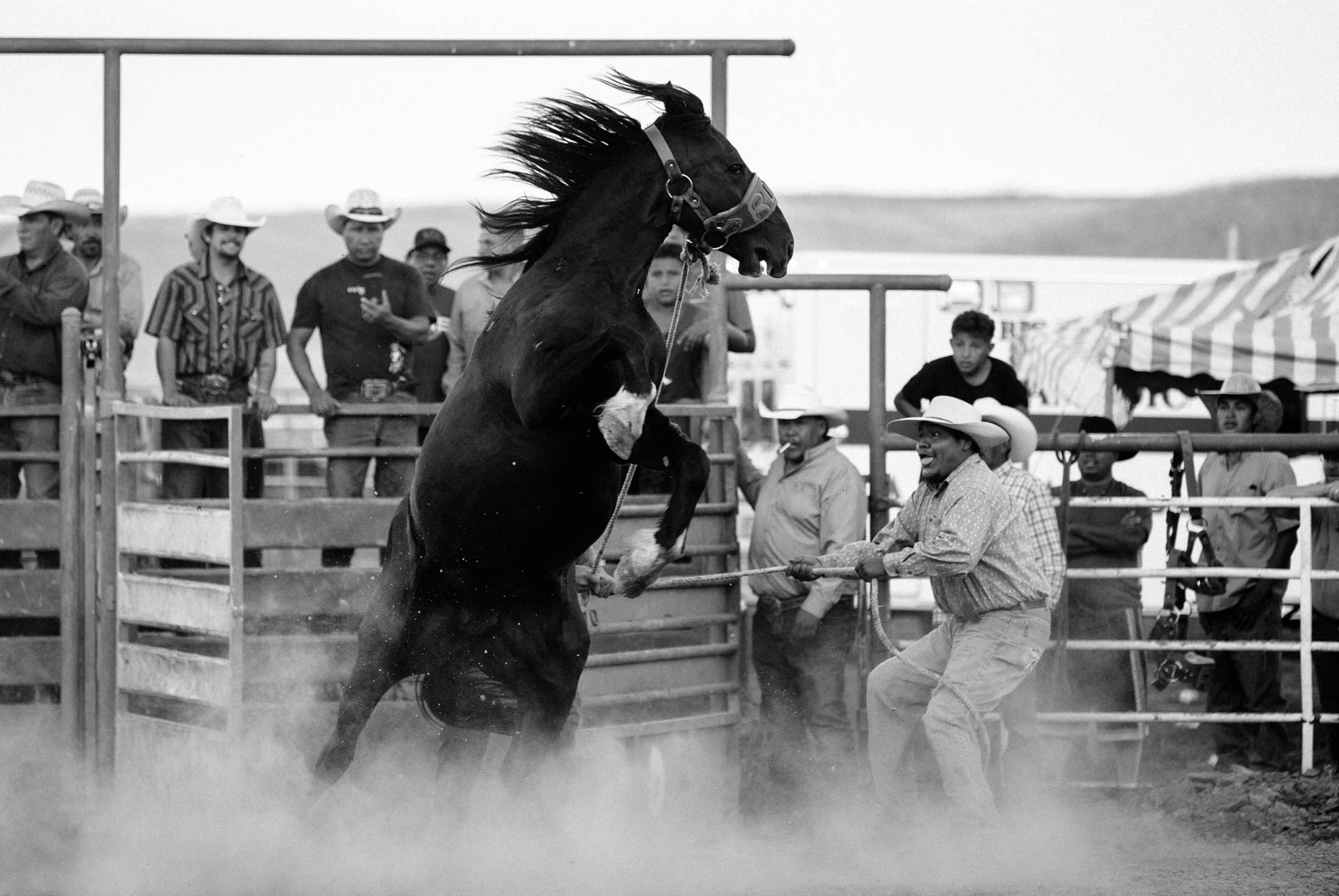 indian-rodeo-wild-horse-race-action-dust.JPG