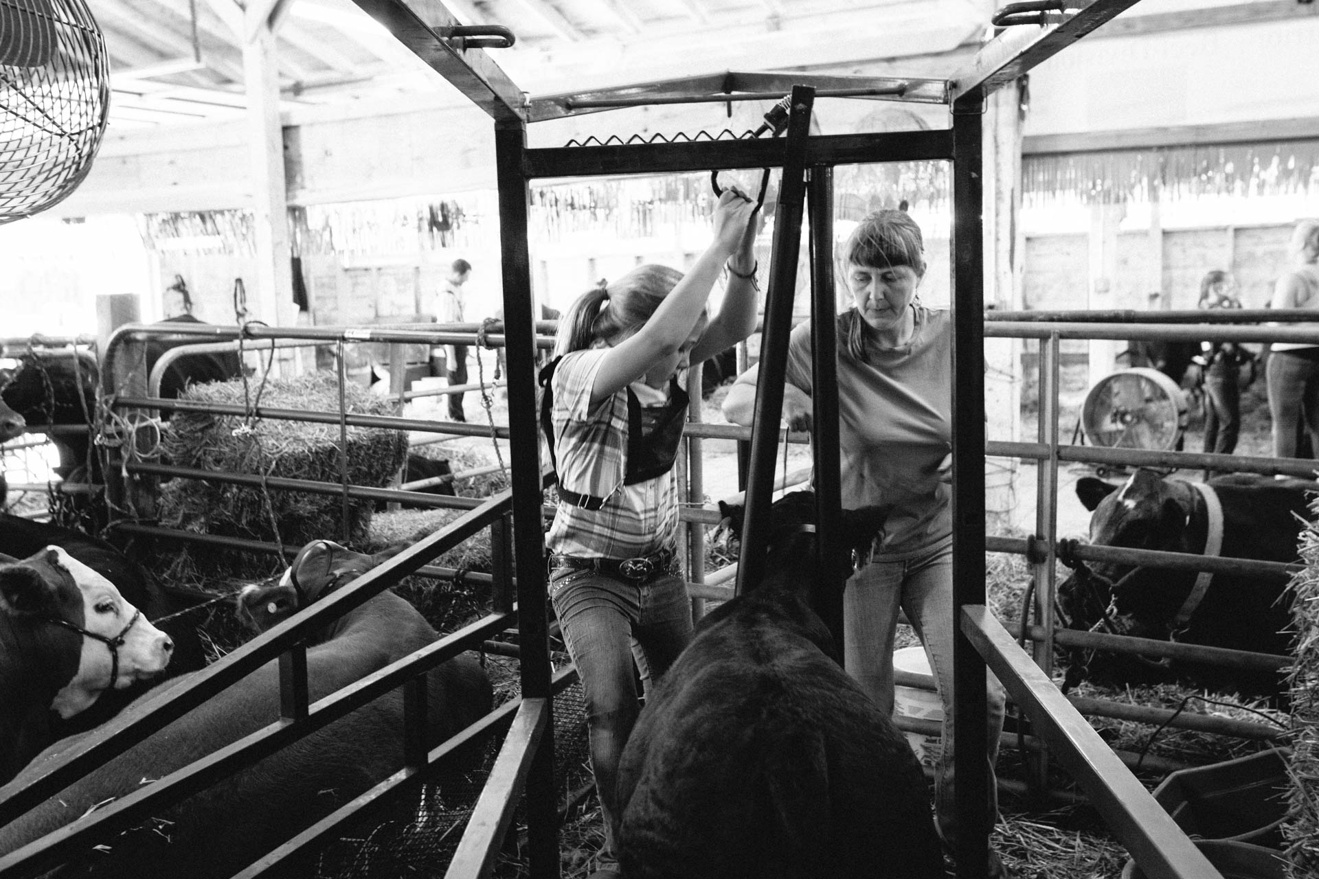 northern-wisconsin-state-fair-mom-helps-daughter-get-cattle-ready-for-show