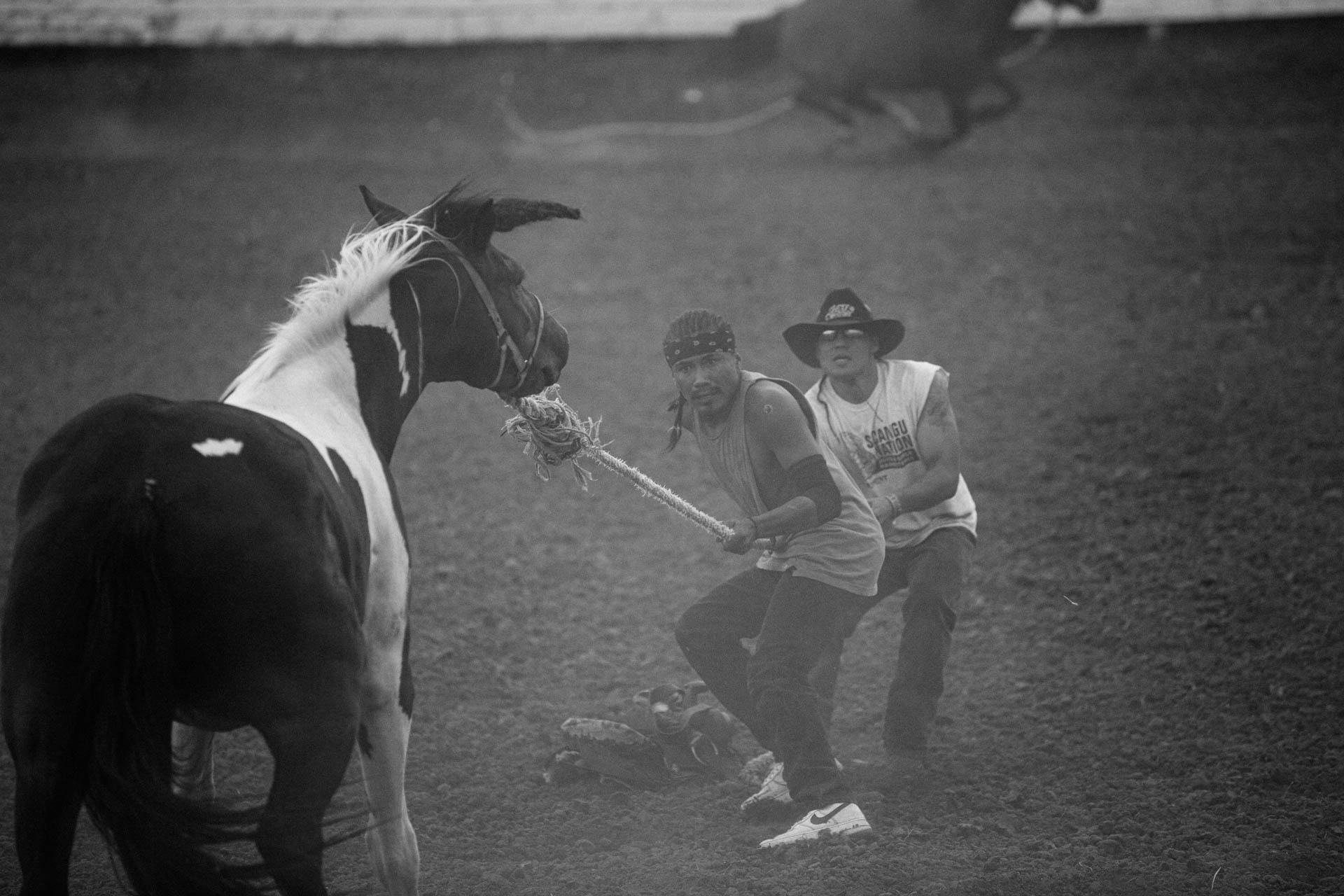rosebud-wild-horse-race-cowboy-caught-rodeo-travis-dewitz-3912.JPG