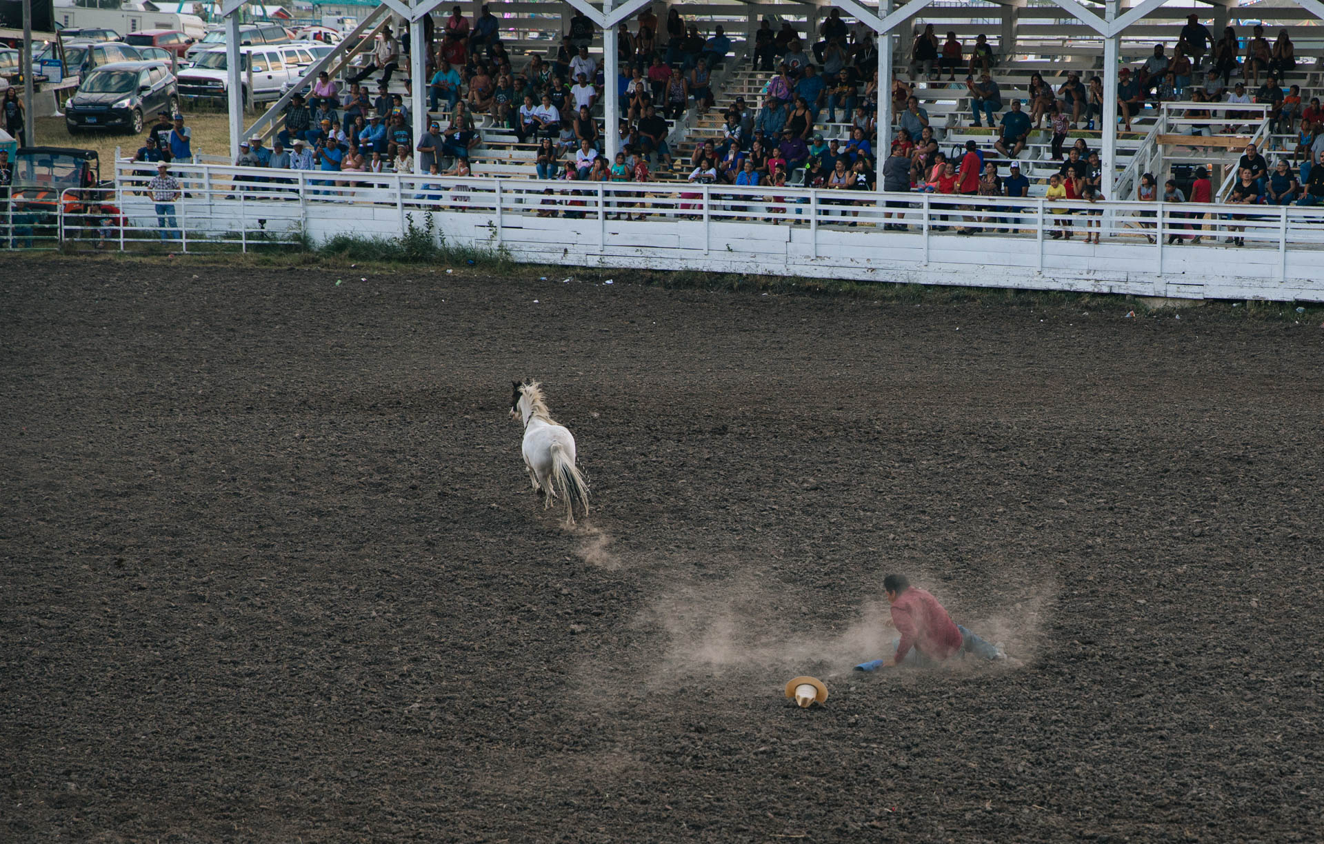 rosebud-wild-horse-race-horse-breaks-away-arena-dust-rodeo-travis-dewitz-9171.JPG