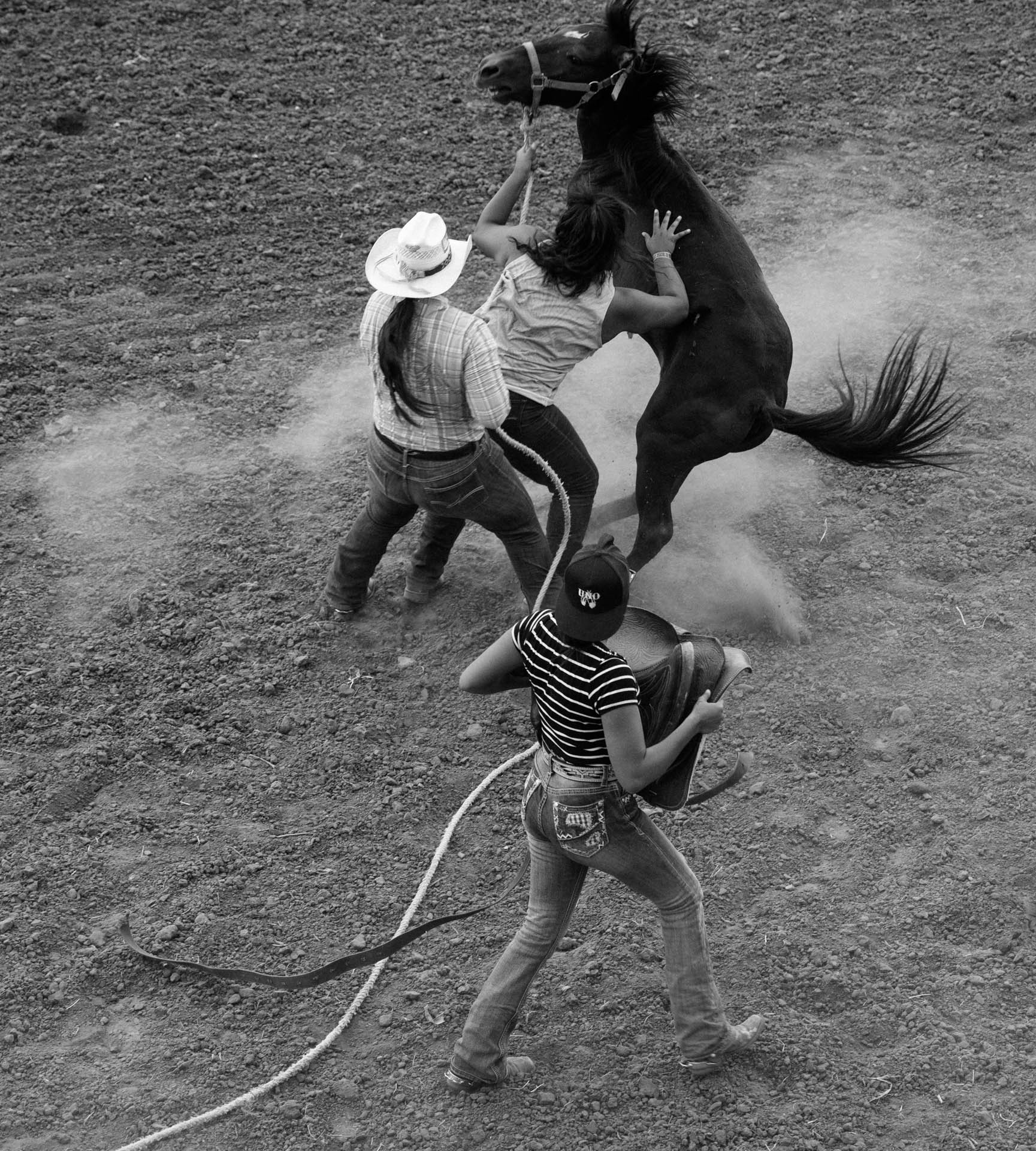 rosebud-wild-horse-race-womans-horse-rears-up-saddle-rodeo-travis-dewitz-9153.JPG