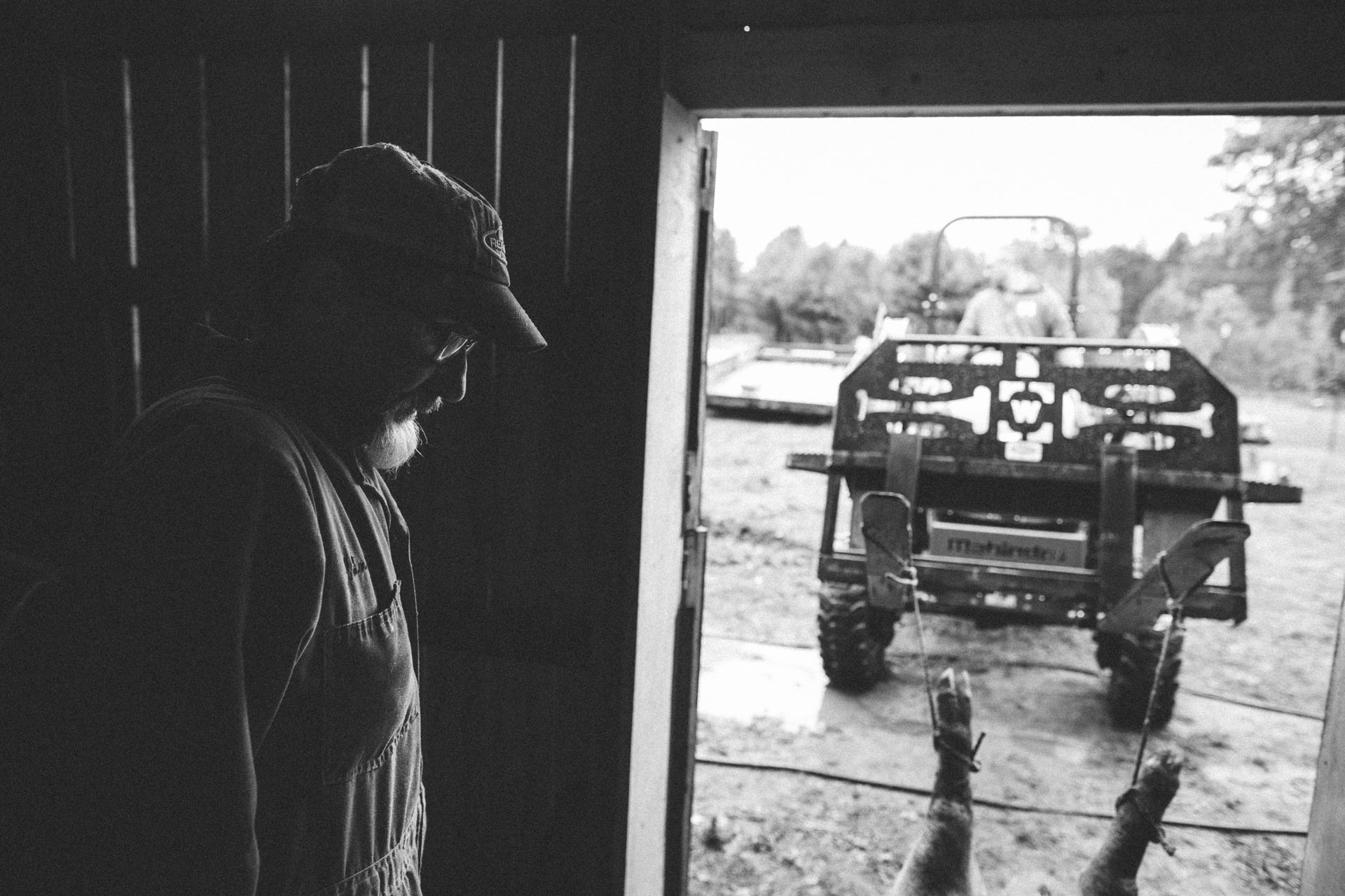 tractor-pulling-hog-out-of-barn-7534
