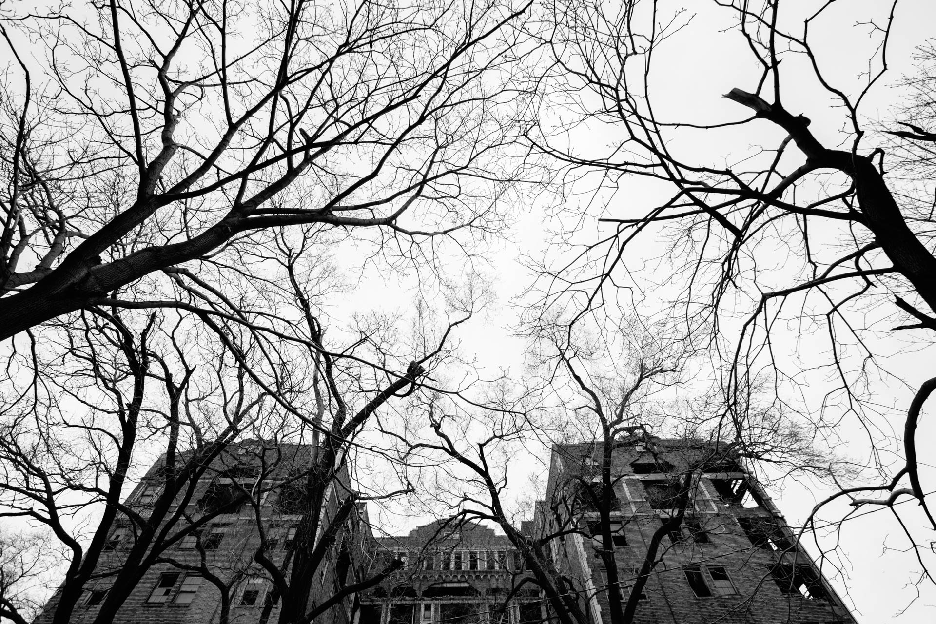 vacant-eerie-apartment-building-surrounded-by-dead-trees-gary
